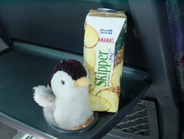 �p�C�i�b�v���W���[�X