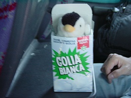 �~���g����