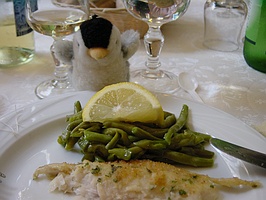 �X�Y�L�̃O����