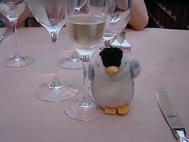 �V�����p��